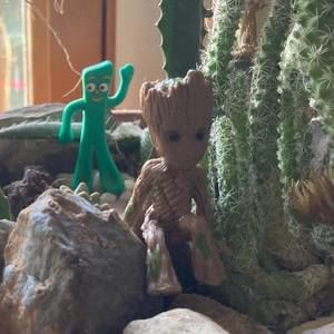 Meet your Posher, Troy